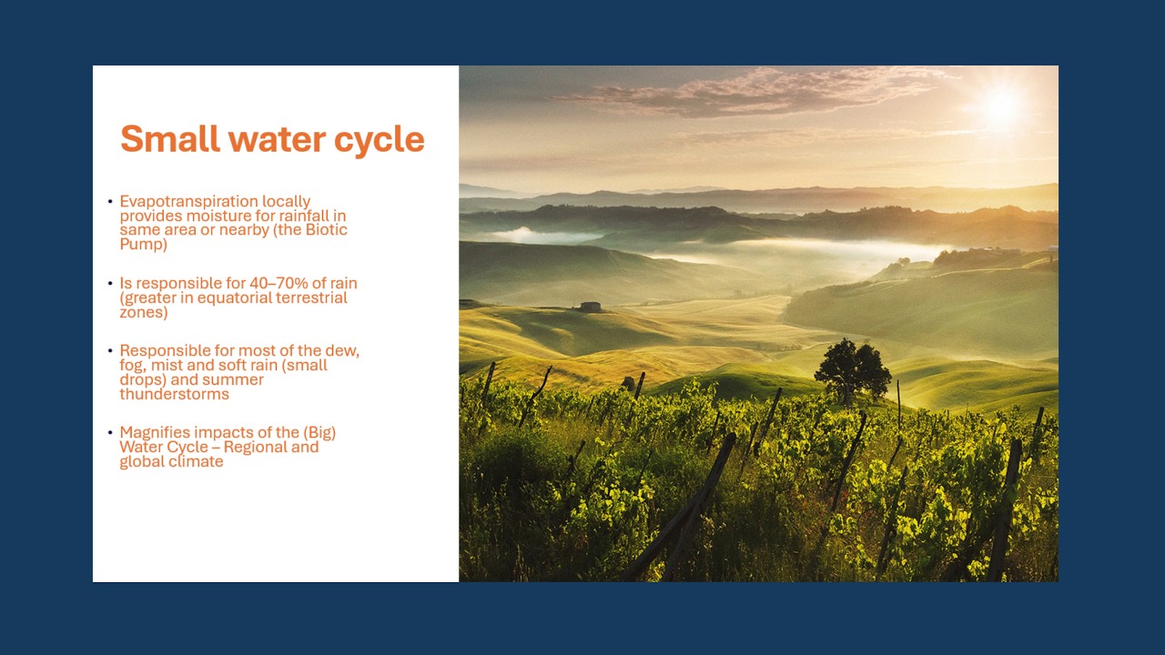 Rehydrating landscapes: understanding how it works and why | Richard Campbell and Phil Mulvey