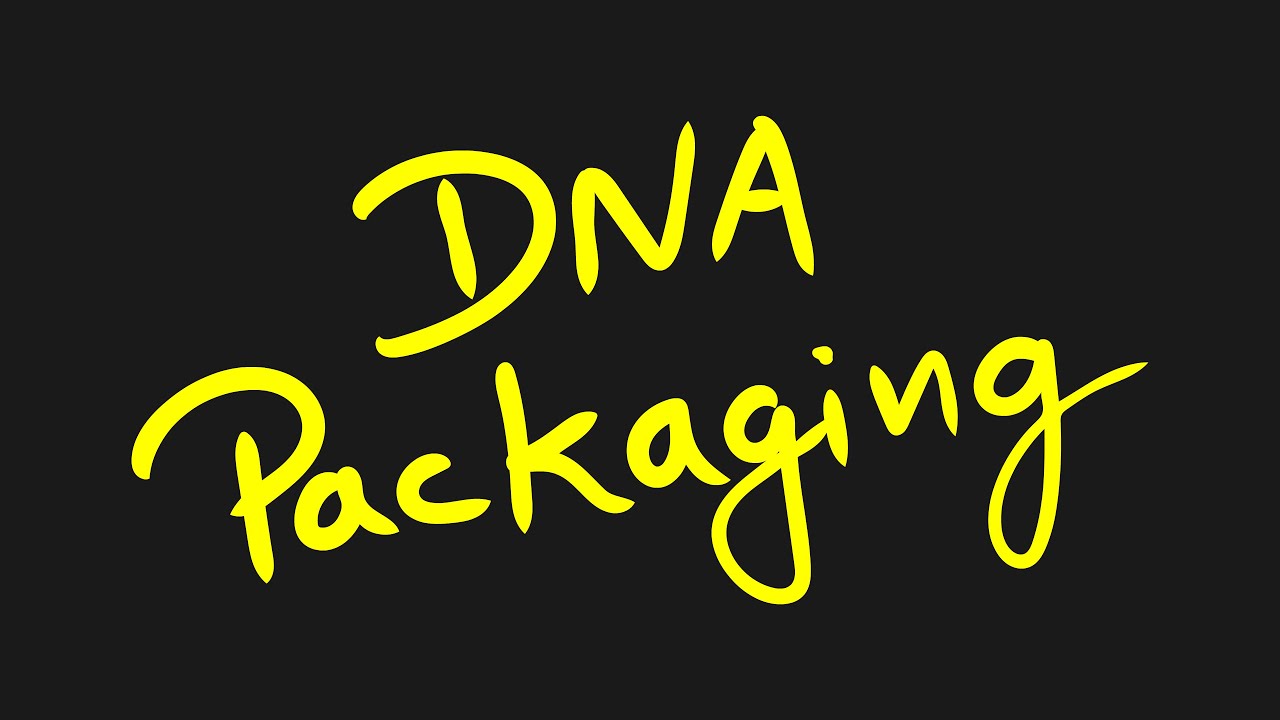 DNA Packaging Explained Simply | Nucleosome | Chromatin | Histone | Chromosome