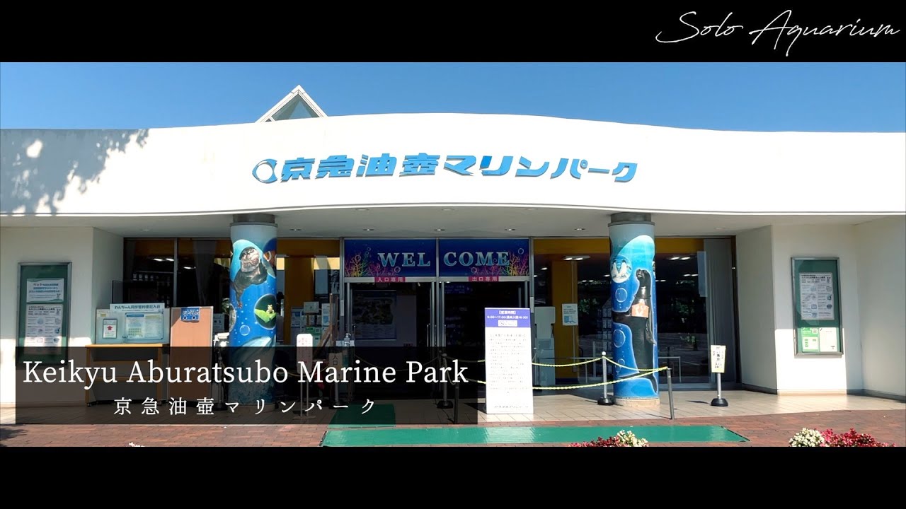油壺マリンパークのススメ１