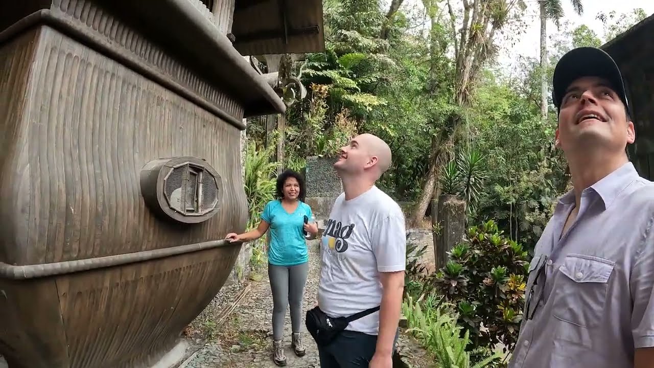 Exploring Las Pozas: Art and Nature in the Mexican Jungle