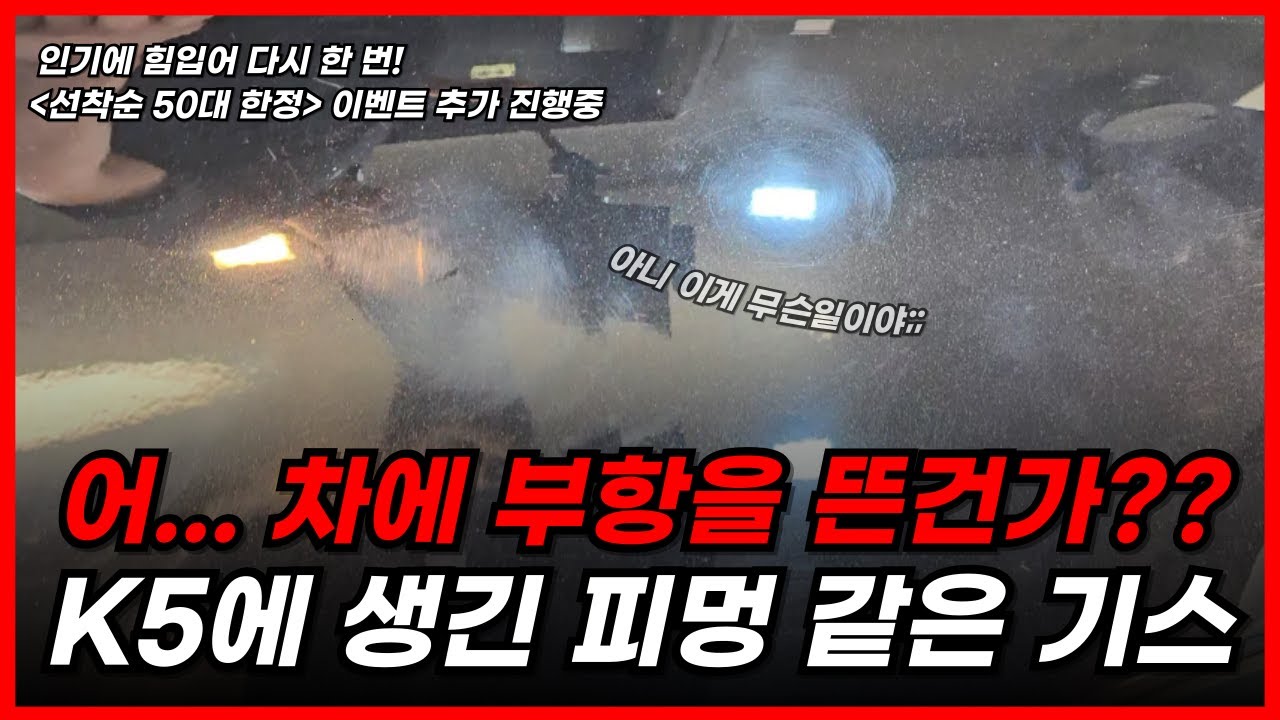 K5에 왜 부항자국이 있지?