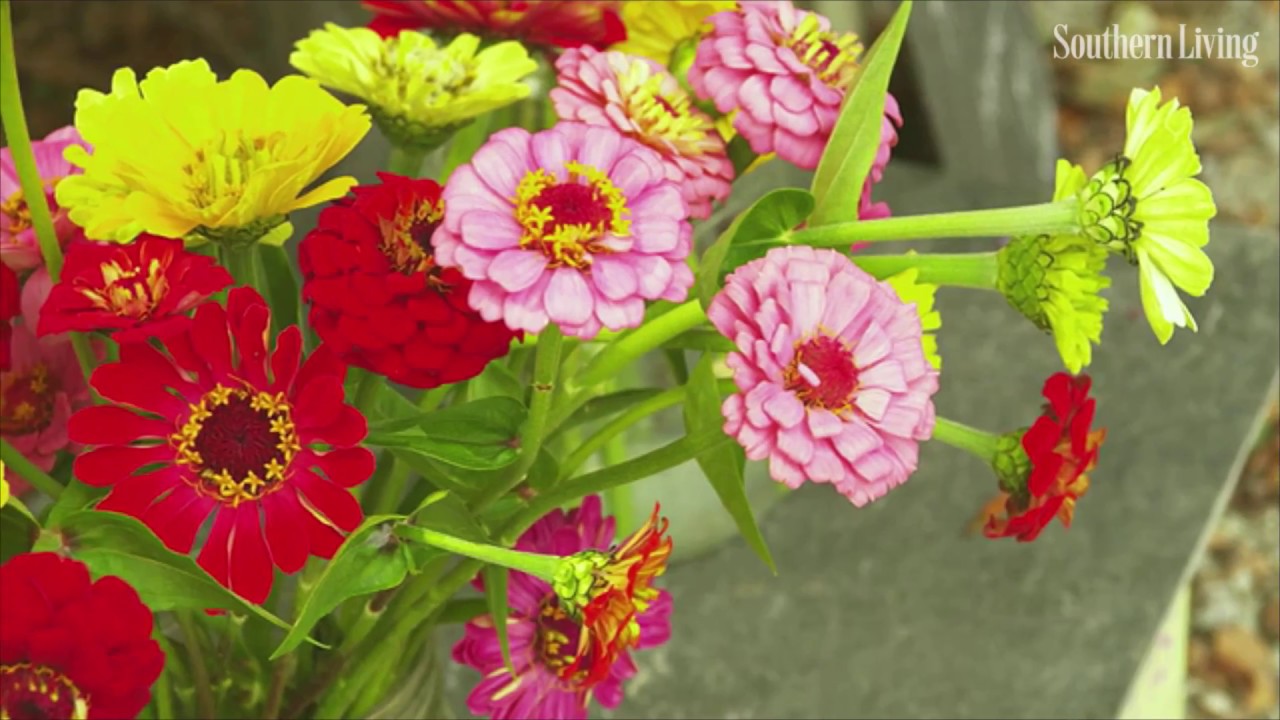 Heat-Tolerant Container Gardens for Sweltering Summers | Southern Living