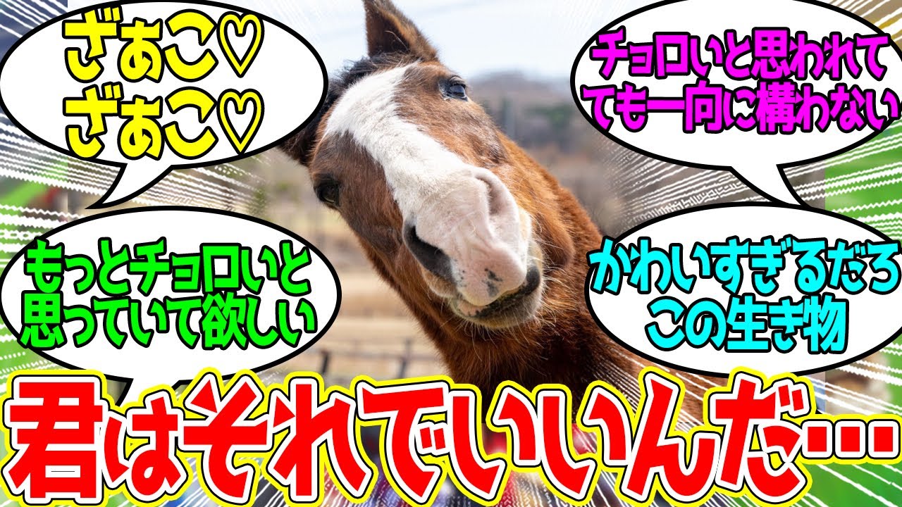 人間というのはチョロいですねぇ…に対するみんなの反応！【競馬 の反応集】