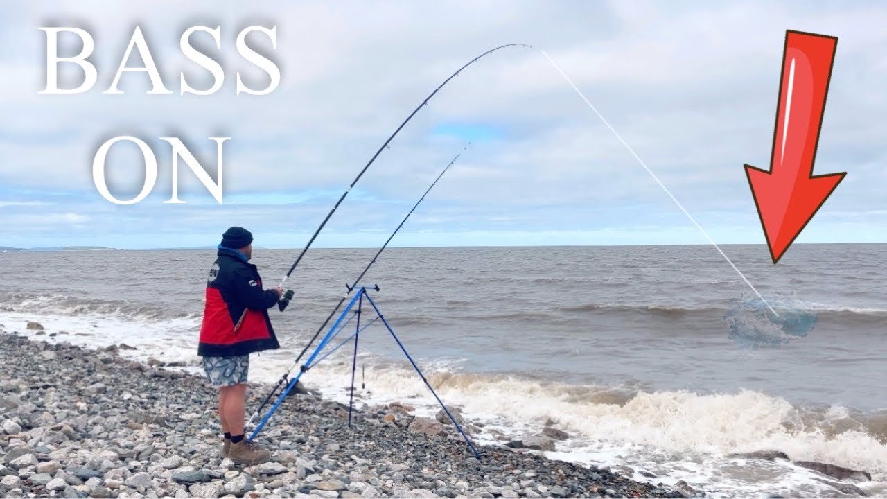 BASS in the SURF❗️