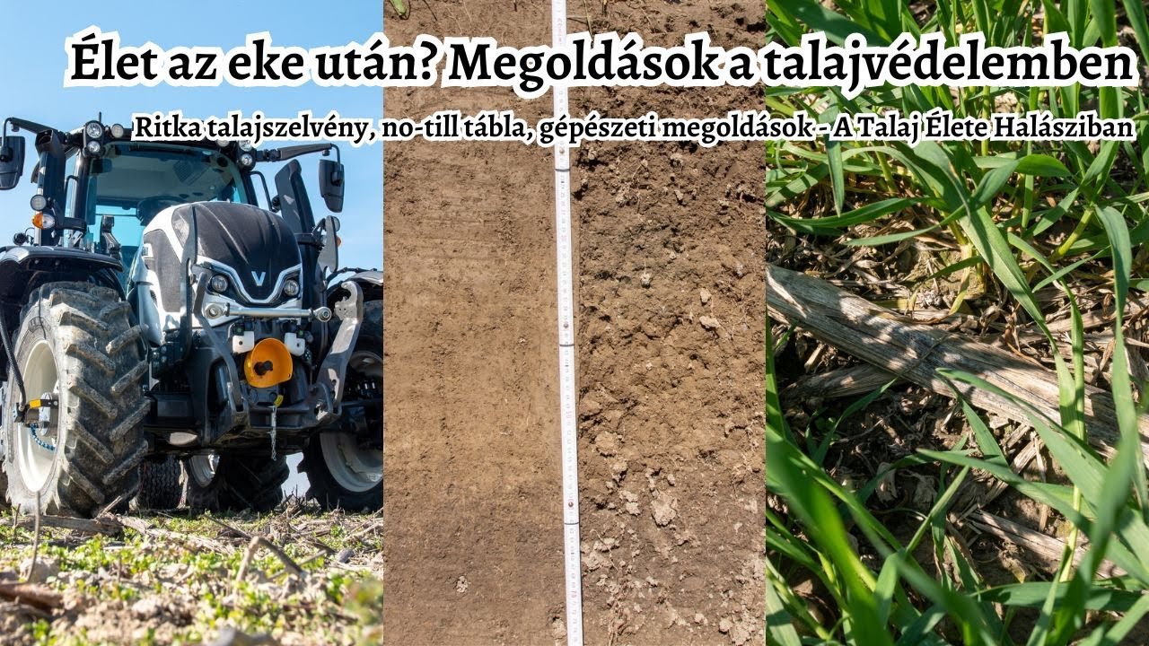 Élet az eke után - Gyakorlati megoldások a talajvédelemben egy különleges no-till talajszelvénnyel