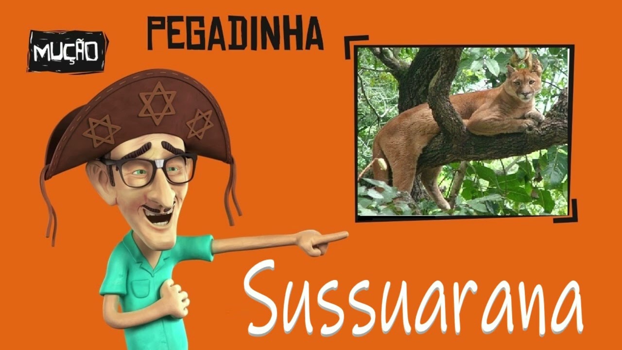 Pegadinha do Mução 🌵 Sussuarana ou Pintada 😂