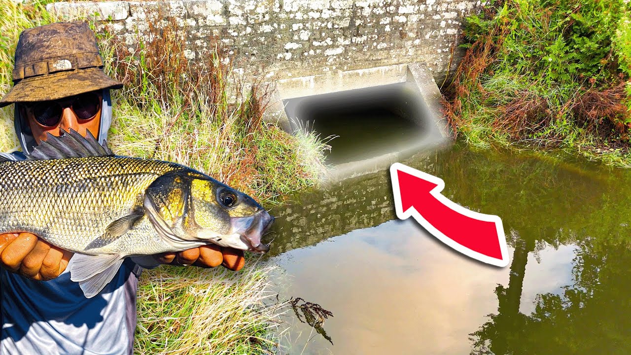 Des BARS dans une Rivi&egrave;re que Personne Ne P&ecirc;che 🎣 ( feat @tristanhedouin )