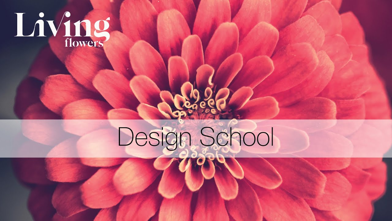 Design school