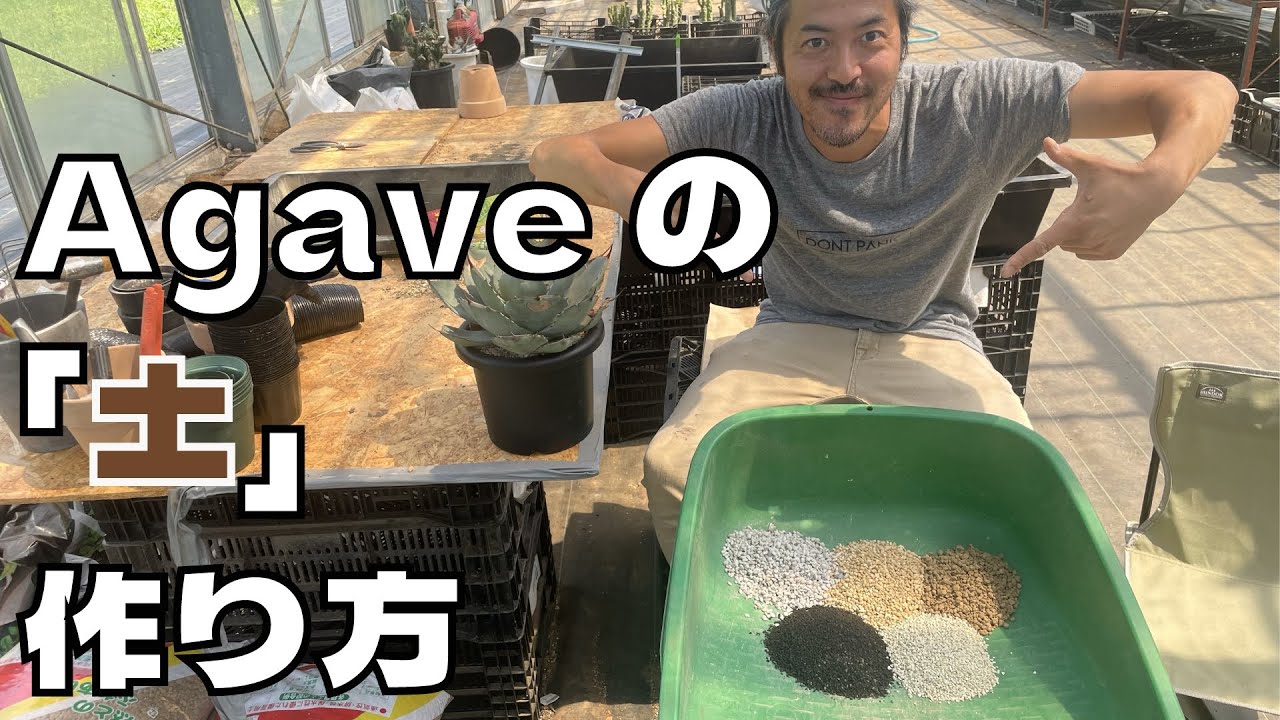 【必見】アガベ用土の選び方、ブレンドの仕方、詳しくご解説