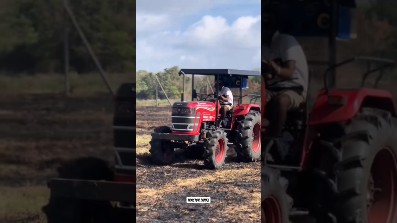 mahindra yuvo 585 di 4wd sri lanka #mahindrayuvo585di4wd #mahindralovers #mahindratractor #4wd