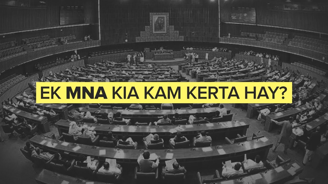 What does an MNA/MPA do?