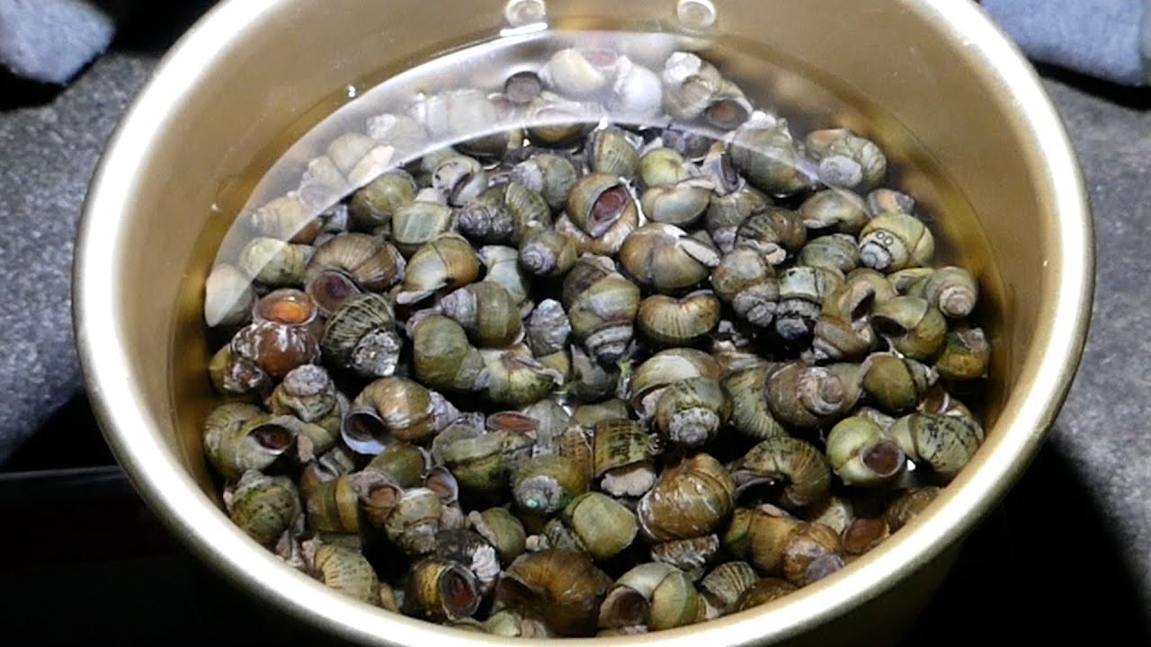 タニシでダシ取ってラーメン作ってみた【ENG SUB】