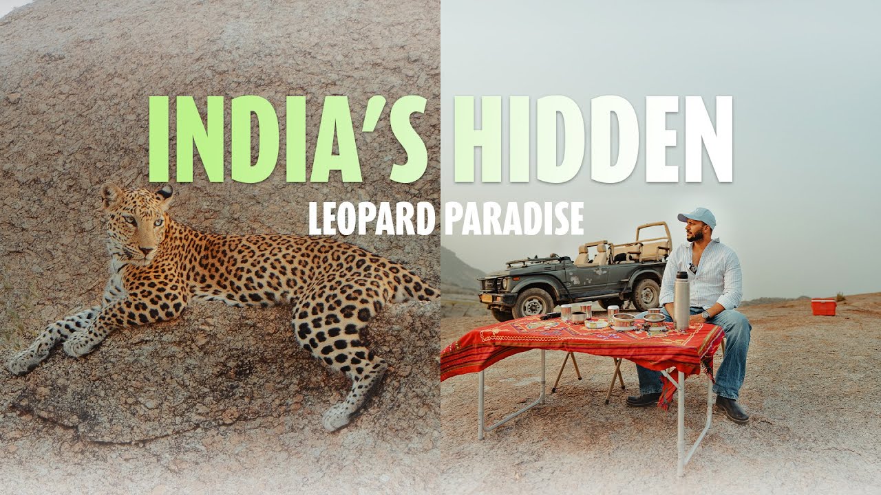 Jawai Unveiled: The Secret Kingdom of Leopards 