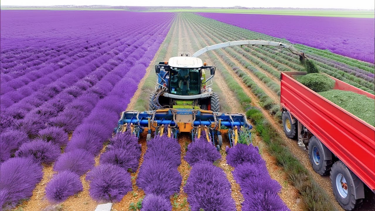 Comment sont Fabriqués les PARFUMS les PLUS CHERS - Documentaire