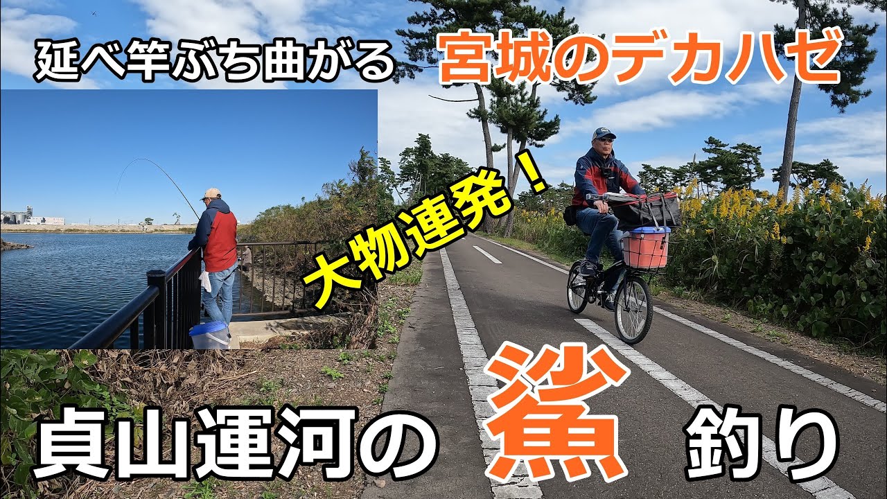自転車で行く貞山運河のハゼ釣り / ハゼ釣り場調査 / 貞山運河探索 / 延べ竿でハゼ / 宮城のハゼ釣り / 小物釣り