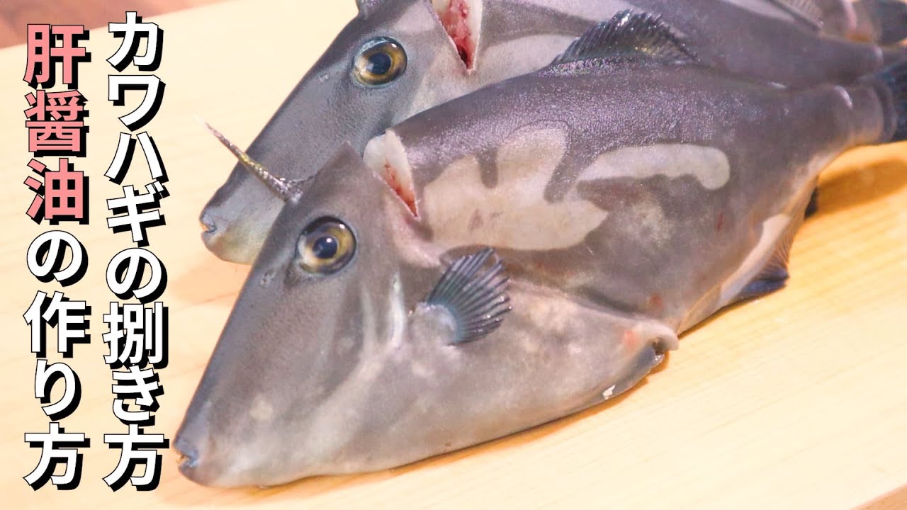 カワハギのさばき方～プロが教える刺身と肝醤油の作り方