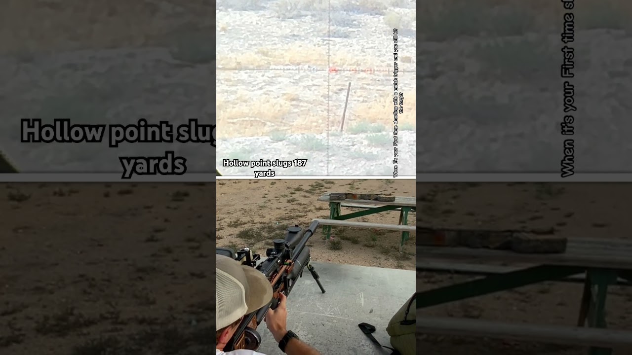 Tuning FX M4 with 33gr HN Precision slugs | 185 yards 