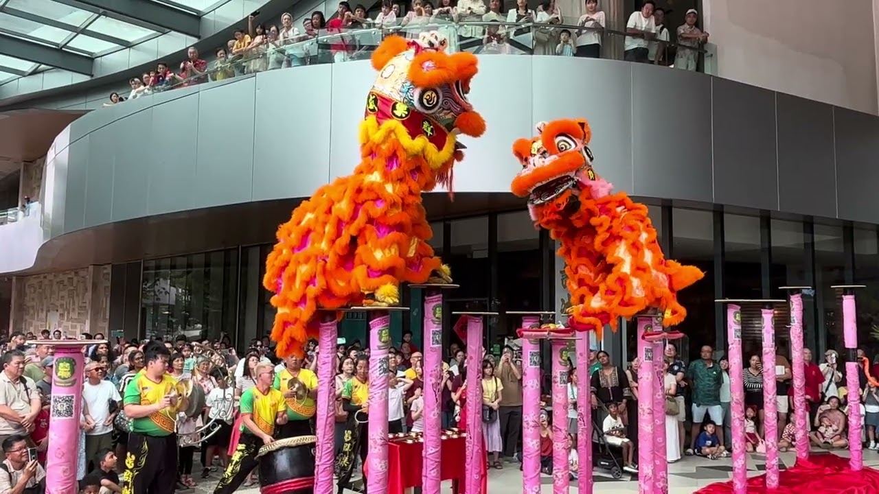 CNY Acrobatics Lion Dance Celebration at Starling Mall 2025