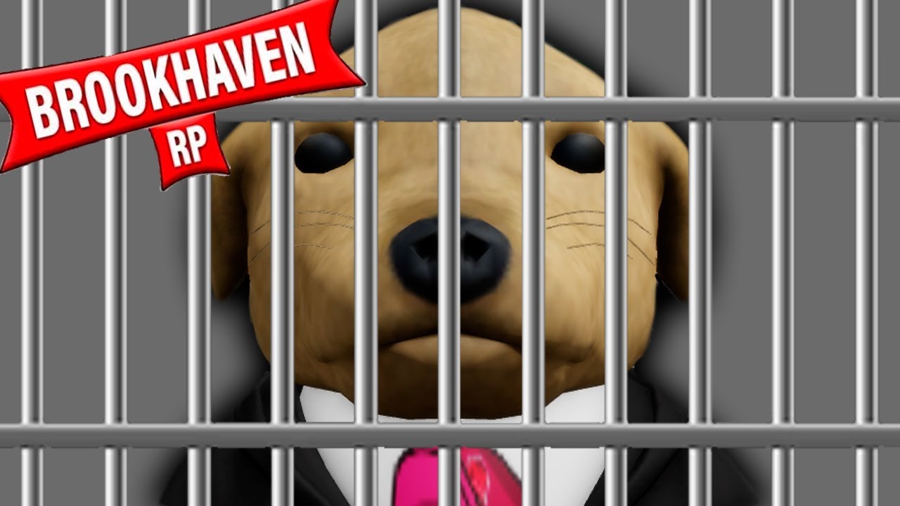 ESTOY EN LA CARCEL :( #BROOKHAVEN #ROBLOX #MEMES