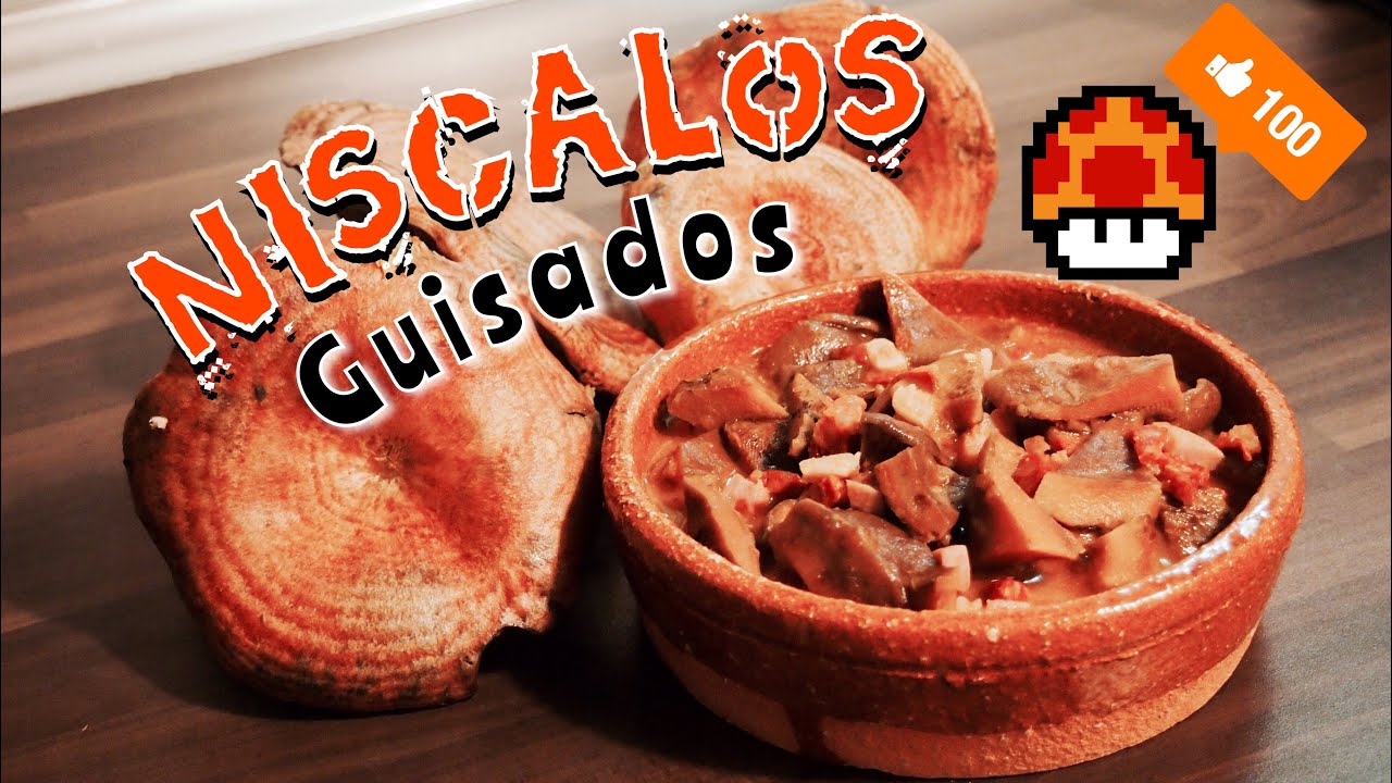 Niscalos o robellones guisados #48