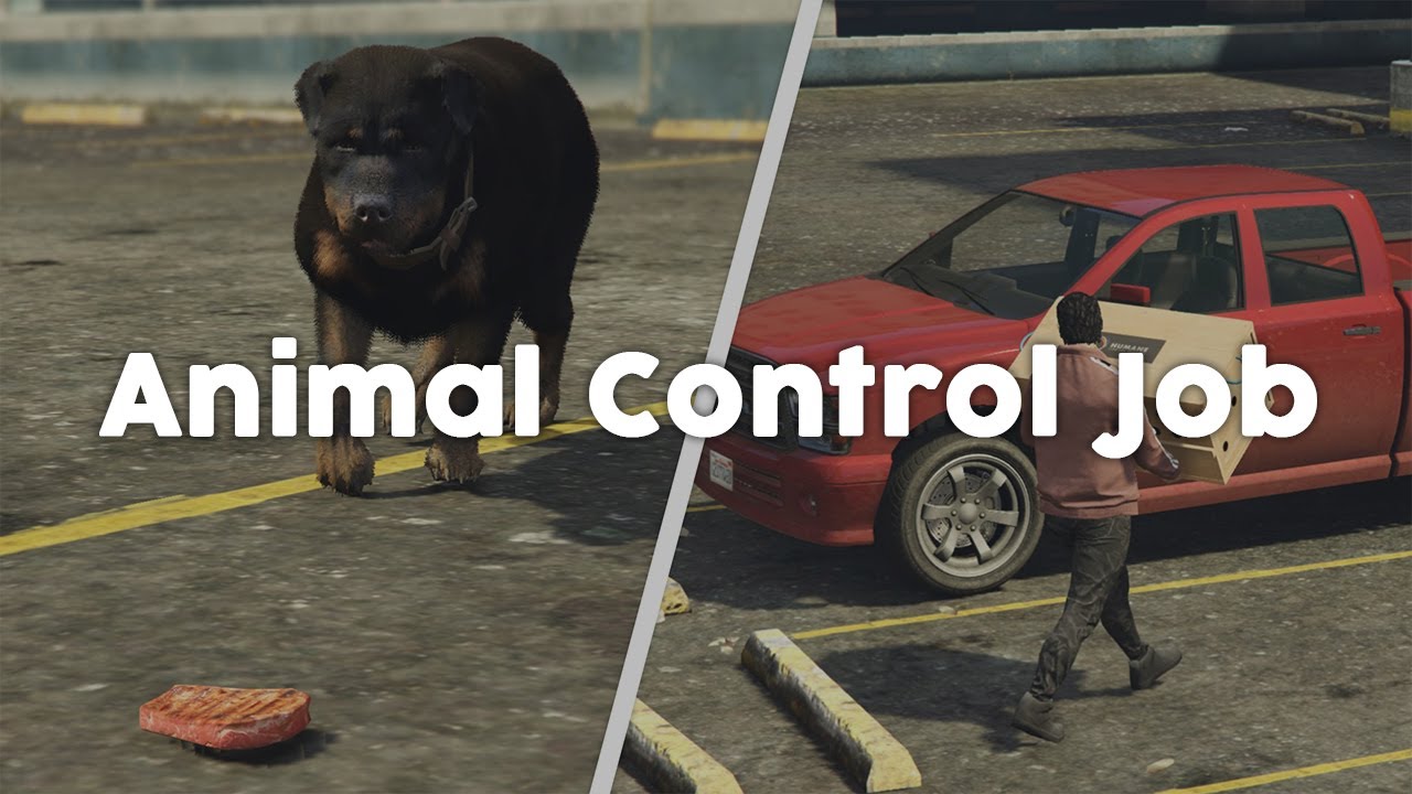 FiveM Animal Control Job