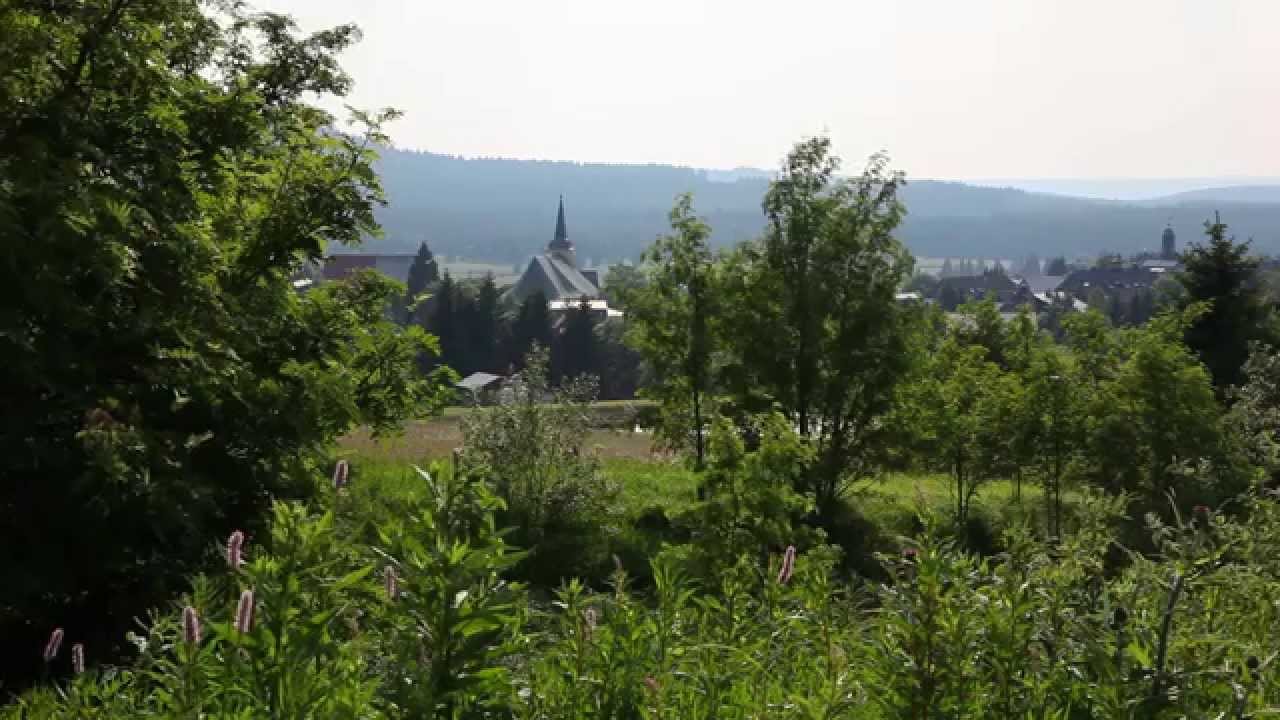 Anton Günthers Hamwärts in Bilder des Erzgebirges