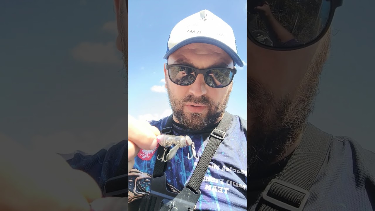 #wędkarstwo #fishing #fish #kleń #shortvideo #shortsvideo #chub