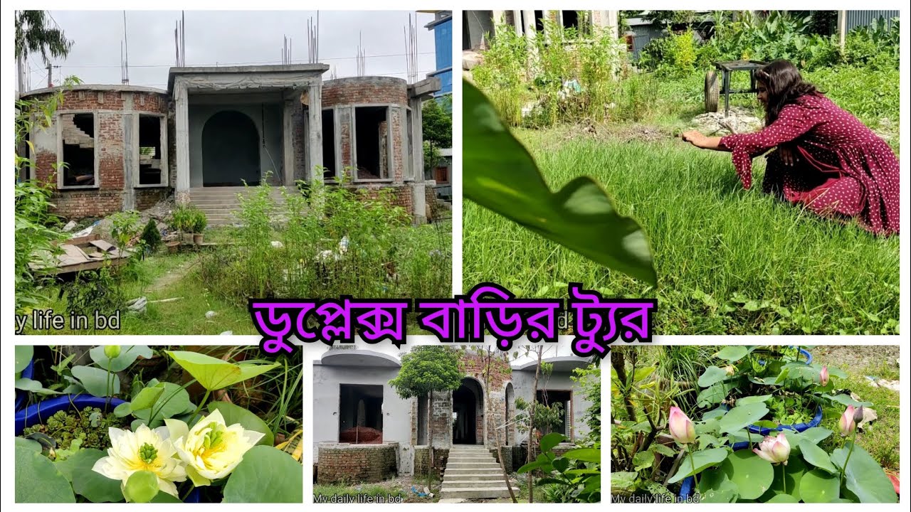 ইনকমপ্লিট বাড়ির ভেতরের ডিজাইন। পদ্মফুলের গাছের যত্ন।@mydailylifeinbd3523