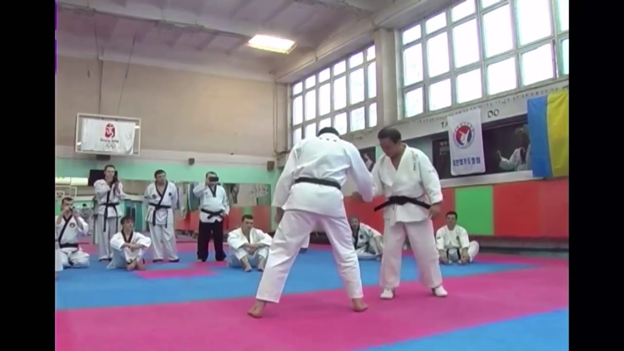GM Kim Nam Jae, Kyungmu Hapkido, Kiev 2013.