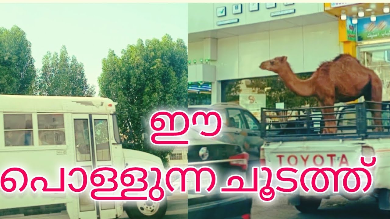 സൗദിയിലെ ചൂട് 🌞🔥#ജിദ്ദ #പ്രവാസി #shortsvideo #longvideo 