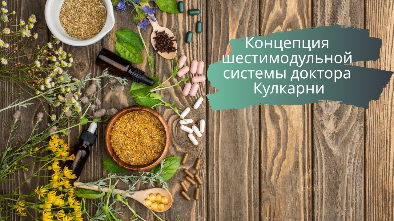 Концепция шестимодульной системы доктора Кулкарни