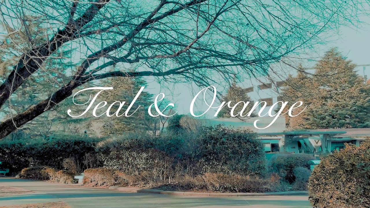 Teal & Orange iPhone XS + Filmic Pro + PM LUT