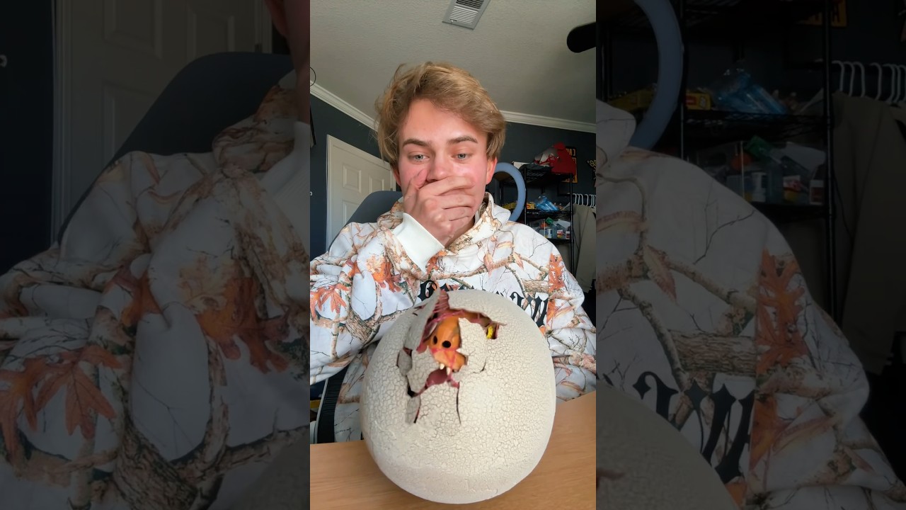 This toy hatches a baby dinosaur!