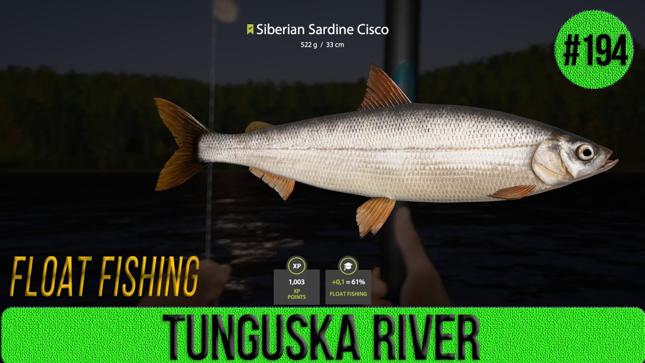 Russian Fishing 4 - Lower Tunguska River - Float Fishing - #194