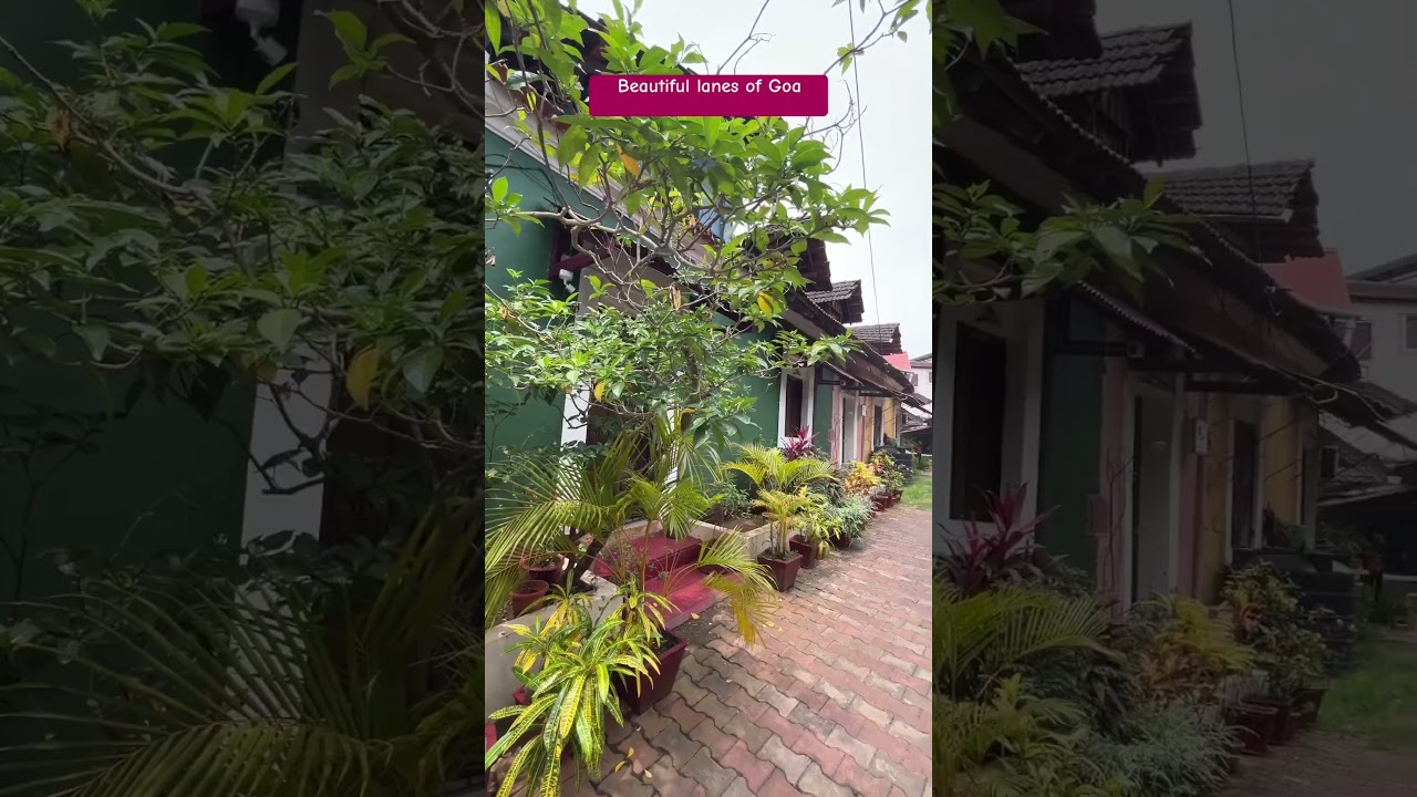 Discover the hidden gem of Goa&mdash;Fontainhas! 🌸 #goa #fontainhas #colouful #goavibes #beach #ytshort