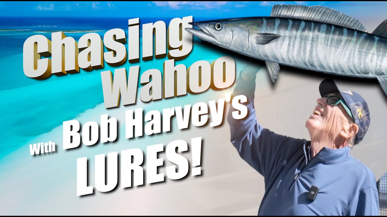 Chasing Wahoo with Bob Harvey's Lures - The Top Pick