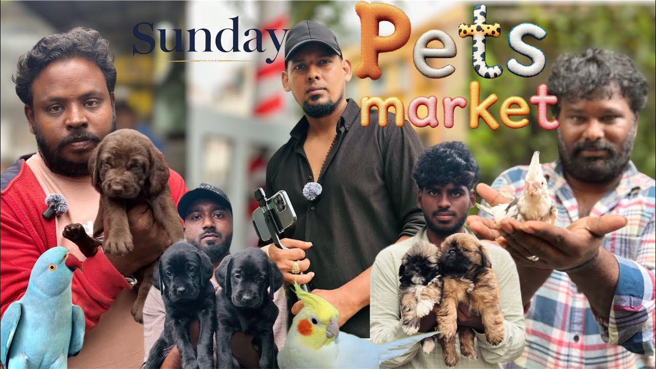 Sunday Pets Log | Opening Timing Mor 6:00 am to 11:00am only Sunday 