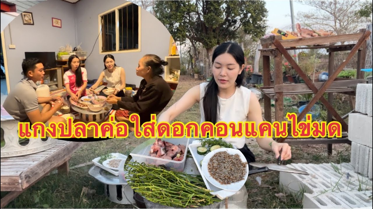 ของหากินยากดอกคอนแคน ผุใดมักกินคือกันแหน่‼️1กุมภาพันธ์ 2569ແກງປາຄໍ່ດອກຄອນແຄນໄຂ່ມົດແດງ