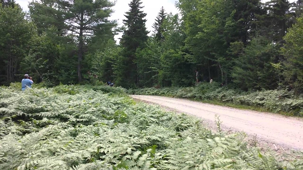 NEFR 14 Higgins srtusa stage 10