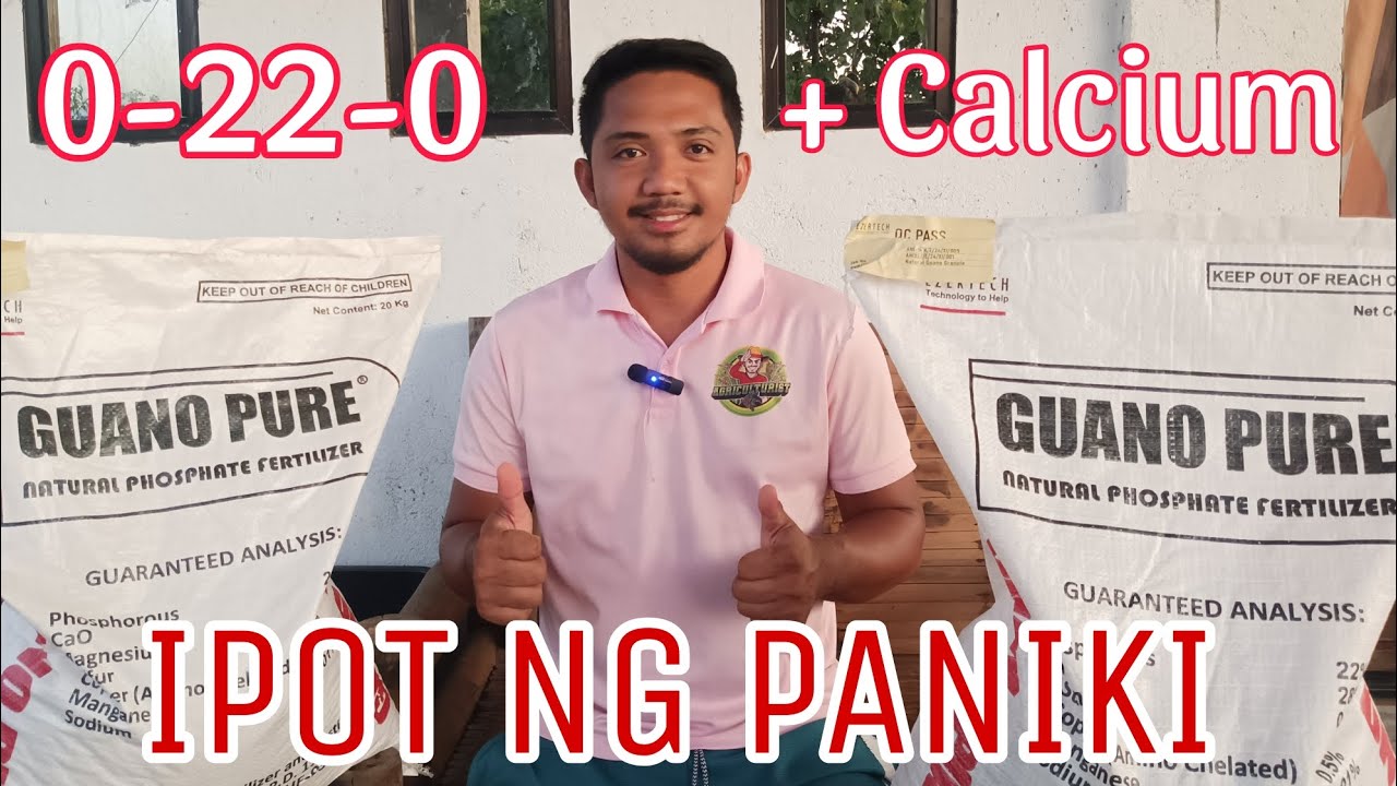 GUANO PURE | Natural Phosphate Fertilizer | Ipot Ng Paniki o Kabag | Soil Conditioner | 0-22-0