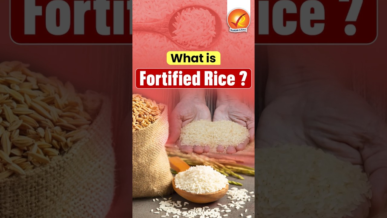 What is Fortified Rice? #shorts