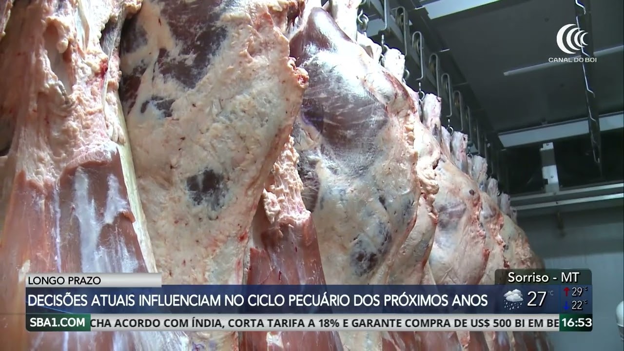 Decisões atuais influenciam no ciclo pecuário dos próximos anos