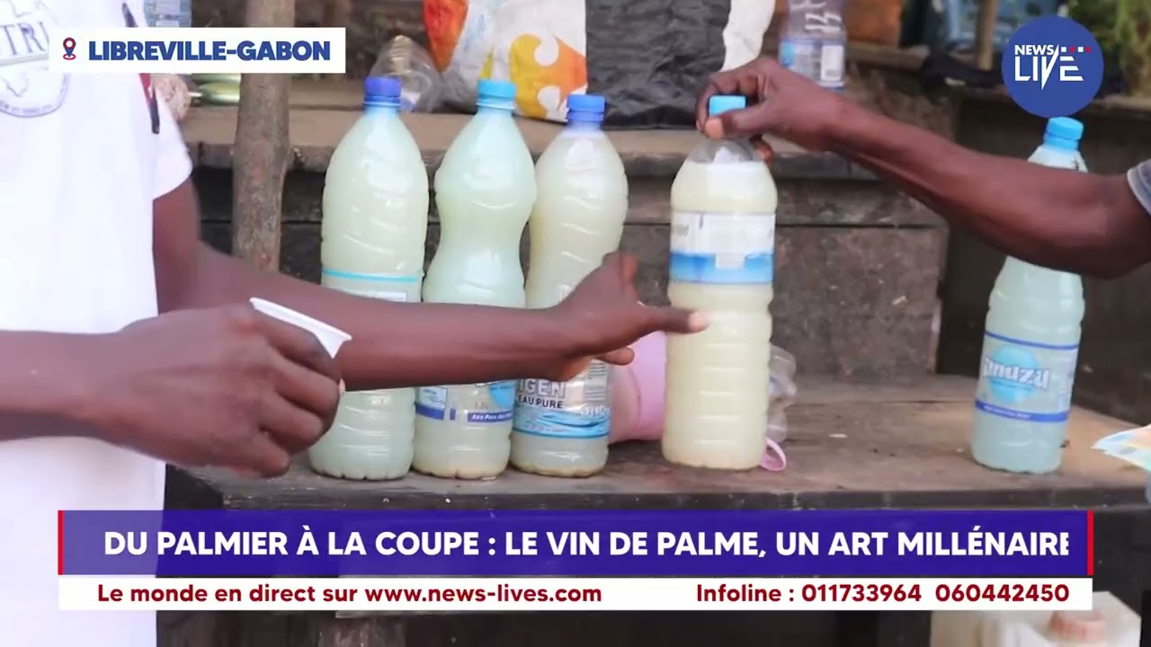 Du palmier à la coupe   Le vin de palme, un art millénaire