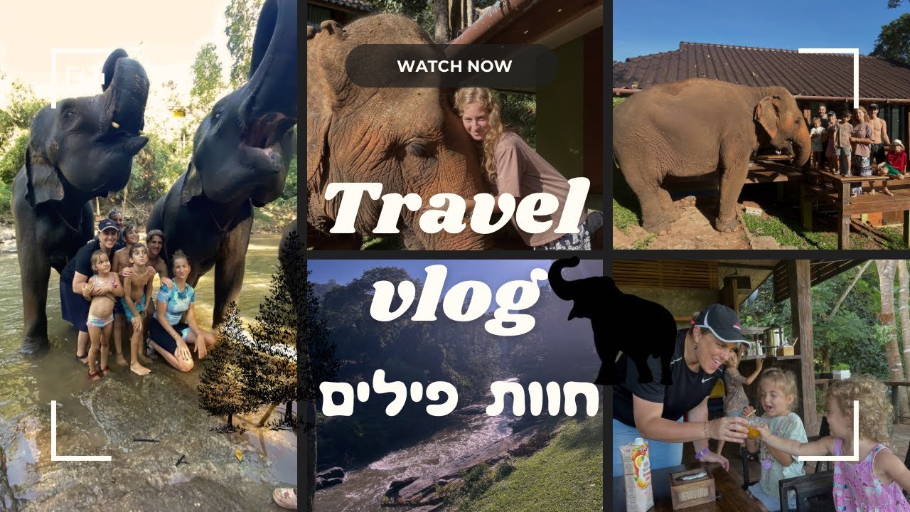 חוות פילים בצ׳אנג מאי🐘