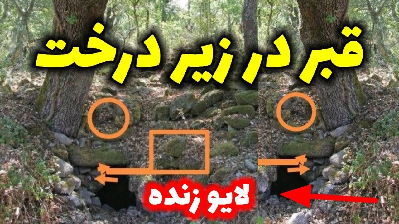 قبر در زیر درخت کهنسال
