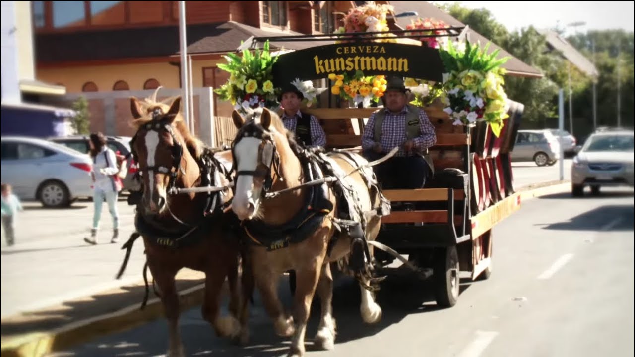 Kunstmann Sin Alcohol - Pioneros Otra Vez