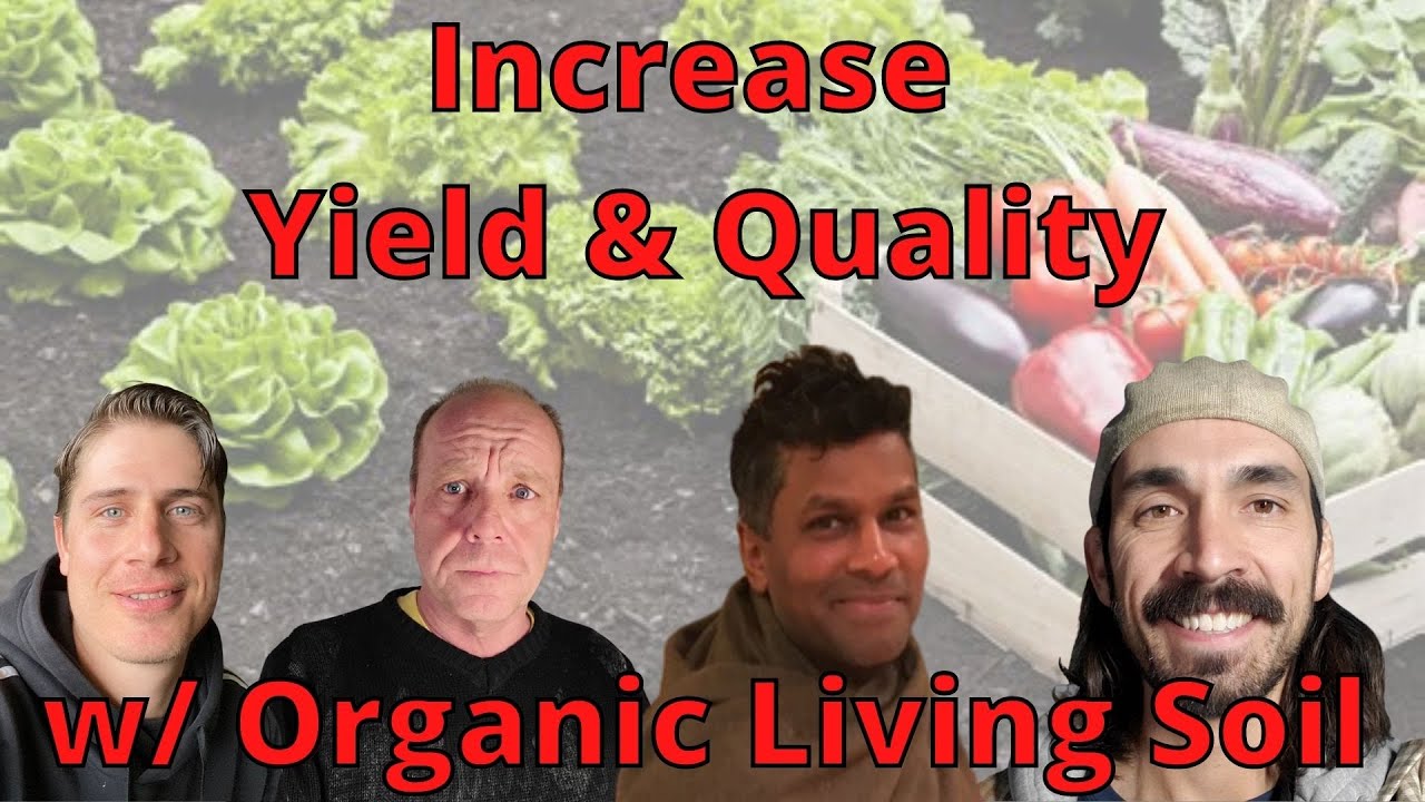 Increase your Yield & Quality with Organic living soil by Av Singh