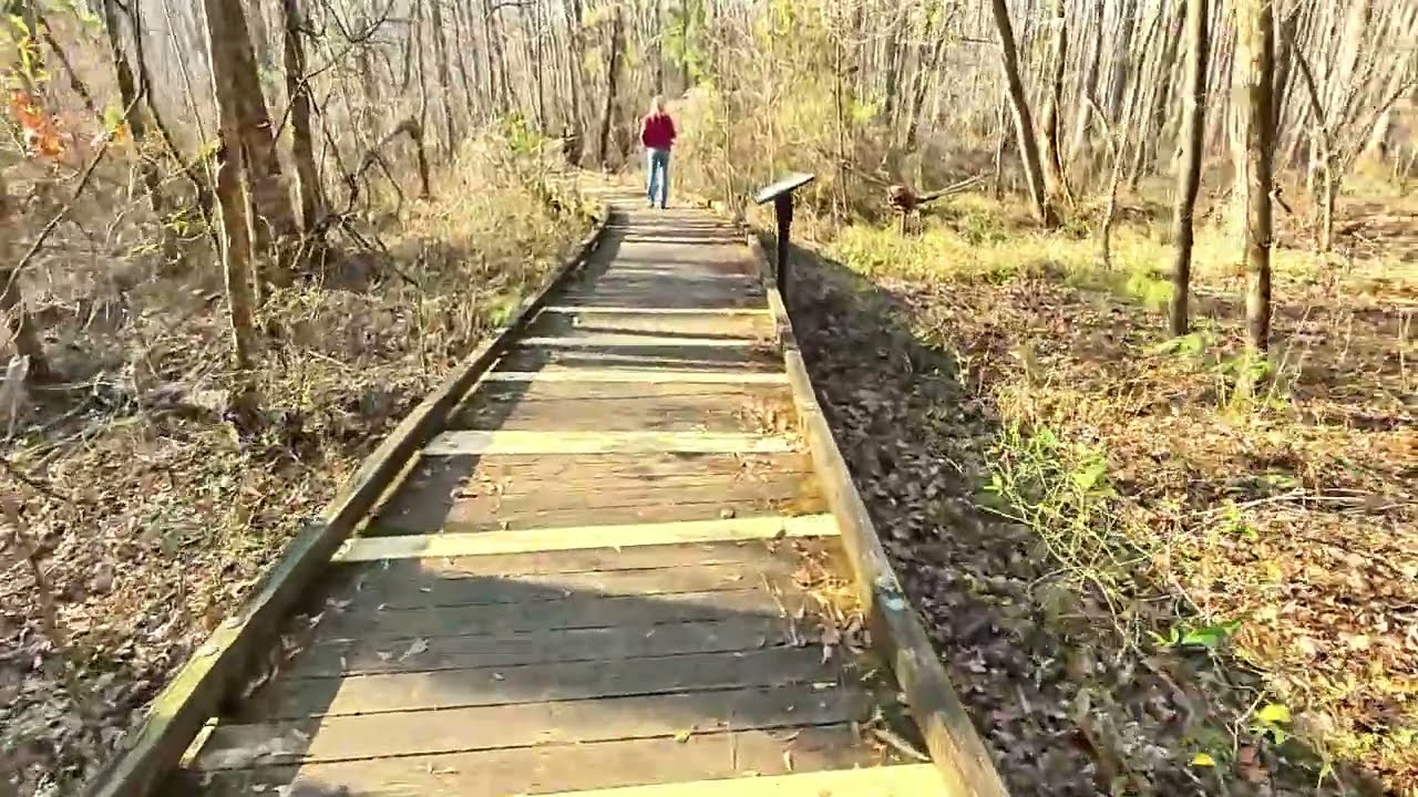 Ebenezer Swamp