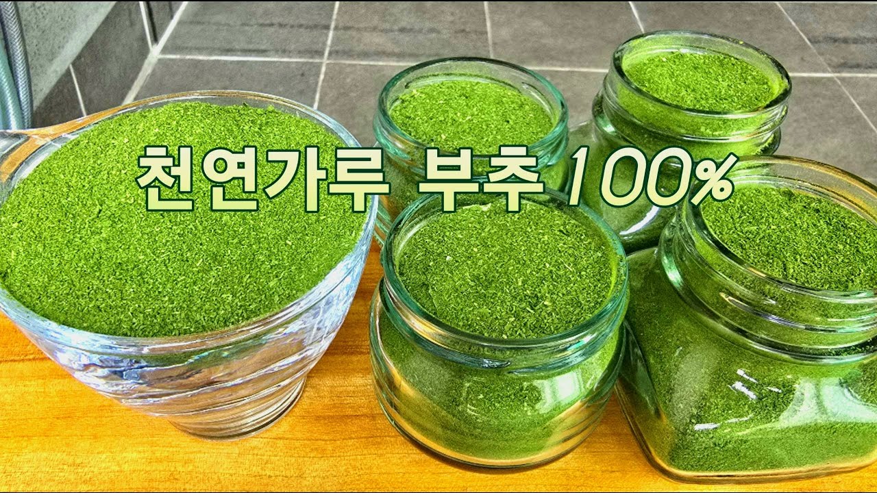 💥생부추보다 강하다! 부추 가루 만들어 1년 쓰는 꿀팁
