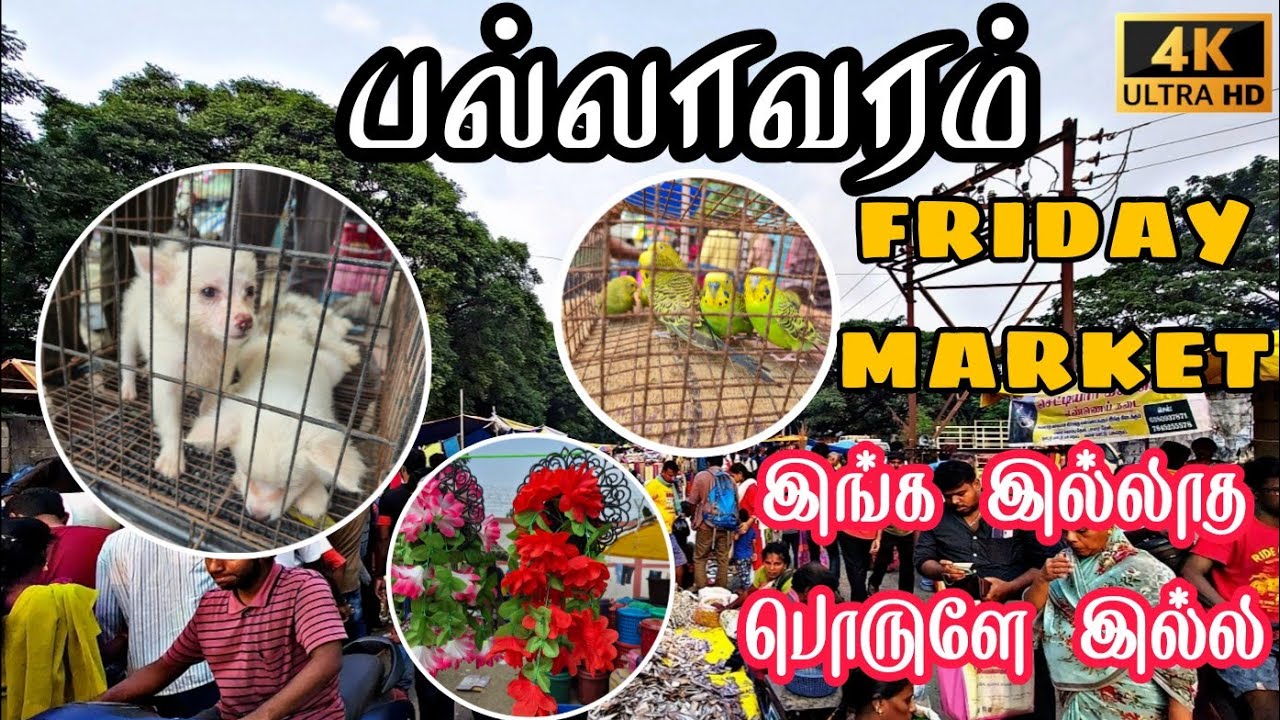 பல்லாவரம் வெள்ளிக்கிழமை சந்தை | Pet Animals | Home Appliances #pallavaramfridaymarket 